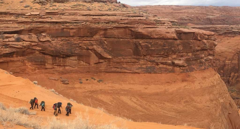 A group of people hike through a desert landscape surrounded by tall canyon walls.